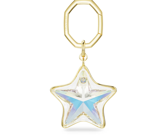 Trousseau Swarovski Femme in Acier plaqué or jaune 5763027 - 5763027